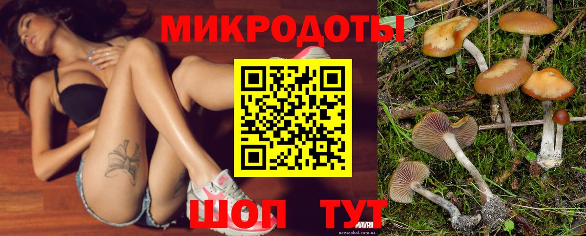 Галлюциногенные грибы Cubensis  Вход с VPN  Псилоцибиновые грибы ЛСД  Красноперекопск 