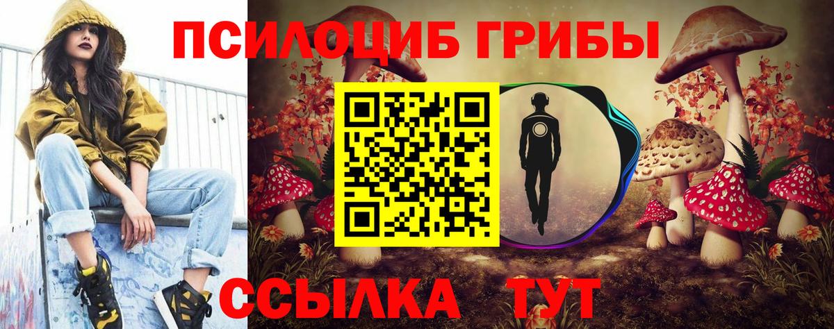 Псилоцибиновые грибы прущие грибы Красноперекопск